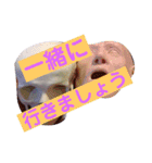 歯医者さんのイラストと写真スタンプ3（個別スタンプ：22）