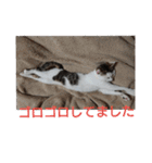 子猫のいち君＆チイちゃん改（個別スタンプ：30）