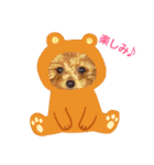 トイプードルのプティー2（個別スタンプ：3）