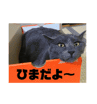 ろろのスタンプ2（個別スタンプ：5）