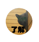 ろろのスタンプ2（個別スタンプ：6）