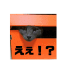 ろろのスタンプ2（個別スタンプ：9）