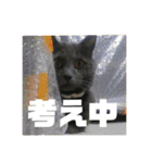 ろろのスタンプ2（個別スタンプ：10）