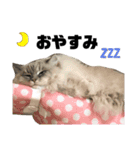 ふわももこの日常（個別スタンプ：4）