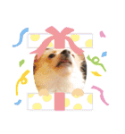 くぅちゃん2。（個別スタンプ：16）