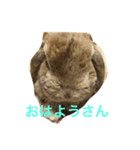 ろっぷいやーone（個別スタンプ：1）