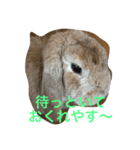 ろっぷいやーone（個別スタンプ：2）