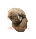 ろっぷいやーone（個別スタンプ：3）
