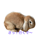 ろっぷいやーone（個別スタンプ：5）