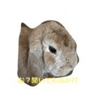 ろっぷいやーone（個別スタンプ：7）