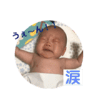 MOMOs stanp（個別スタンプ：25）