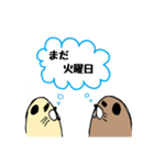 ビーバーのビバとバビ（個別スタンプ：24）