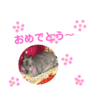 山田ラビ太（個別スタンプ：15）
