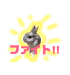 山田ラビ太（個別スタンプ：20）