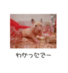谷口きなこ3rd.（個別スタンプ：3）