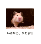 谷口きなこ3rd.（個別スタンプ：4）