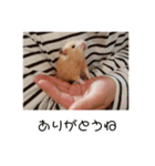谷口きなこ3rd.（個別スタンプ：5）
