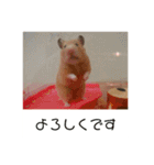谷口きなこ3rd.（個別スタンプ：6）