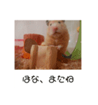 谷口きなこ3rd.（個別スタンプ：7）
