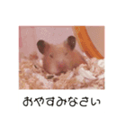 谷口きなこ3rd.（個別スタンプ：8）