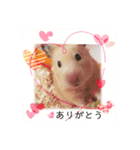 谷口きなこ3rd.（個別スタンプ：9）