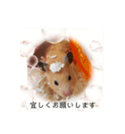 谷口きなこ3rd.（個別スタンプ：11）