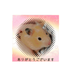 谷口きなこ3rd.（個別スタンプ：12）