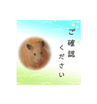 谷口きなこ3rd.（個別スタンプ：13）