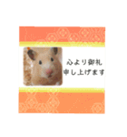 谷口きなこ3rd.（個別スタンプ：14）