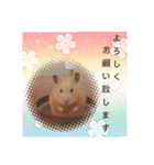 谷口きなこ3rd.（個別スタンプ：15）