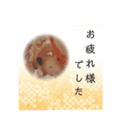 谷口きなこ3rd.（個別スタンプ：16）