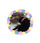 クロにゃー（個別スタンプ：5）