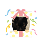 クロにゃー（個別スタンプ：9）