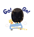 クロにゃー（個別スタンプ：29）