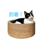 はちくま3（個別スタンプ：3）