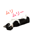 はちくま3（個別スタンプ：8）