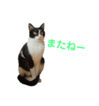 はちくま3（個別スタンプ：9）