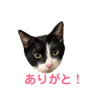 はちくま3（個別スタンプ：14）