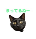 はちくま3（個別スタンプ：15）