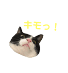 はちくま3（個別スタンプ：16）