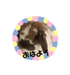＊毎日使える日常会話＊（個別スタンプ：1）
