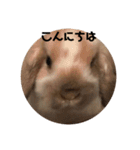 ＊毎日使える日常会話＊（個別スタンプ：2）