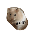 ＊毎日使える日常会話＊（個別スタンプ：6）