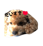 ＊毎日使える日常会話＊（個別スタンプ：8）