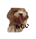 ＊毎日使える日常会話＊（個別スタンプ：9）