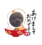 ＊毎日使える日常会話＊（個別スタンプ：11）