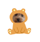 くぅちゃん王子（個別スタンプ：2）