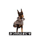 ジャーマンピンシャー（個別スタンプ：1）
