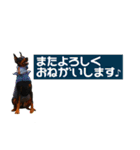 ジャーマンピンシャー（個別スタンプ：21）