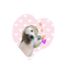 チワックス犬。（個別スタンプ：5）